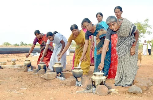 முதல்வருக்கு கெயில் பொங்கல் - சென்னிமலை விவசாயிகள் விழா!
