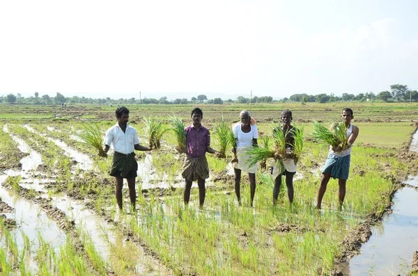 கண்ணன்கோட்டையில் 'கத்தி' வேலை...