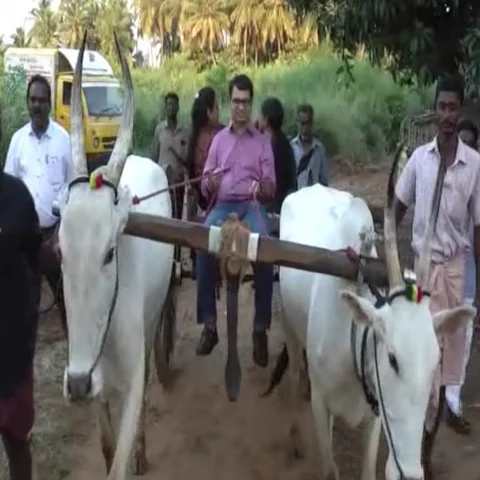 குடும்பத்தினருடன் மாட்டுவண்டியில் விசிட் அடித்த கலெக்டர்! - வியப்பில் ஆழ்ந்த ஊழியர்கள்