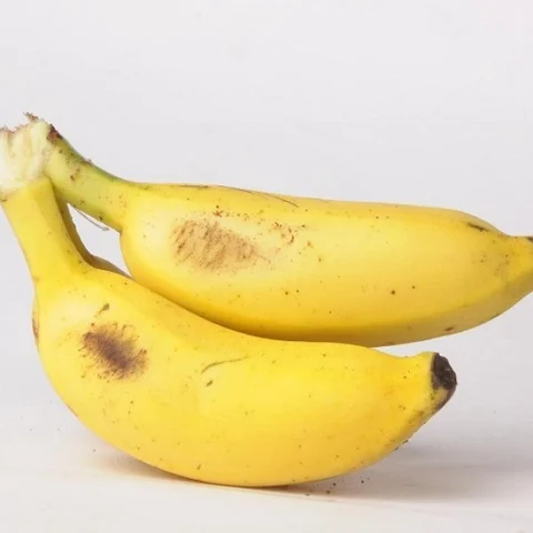மோர், தயிர், இட்லி, சுண்டவற்றல்... 'நல்ல' பாக்டீரியாக்கள் நிறைந்த உணவுகள்! #probiotics