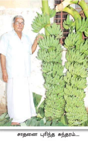 8 சென்டில் 50 ஆயிரம்...