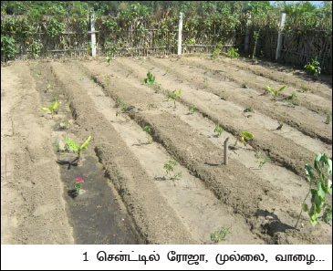மனமிருந்தால் மார்க்கமுண்டு !