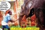 சிட்னி டெஸ்ட் நாள் 2: வலுவான ஆஸி. 482/4