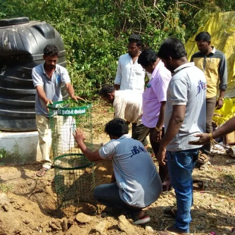 ‘சிலைக்காக சாய்க்கப்பட்ட மரங்கள்!’ - புதிய கன்றுகளை நட்ட 'நீர்த் துளிகள்' அமைப்பு