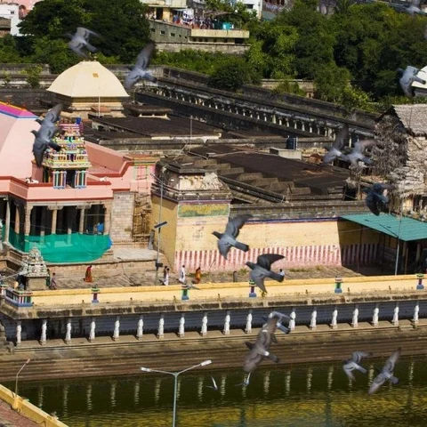 சிதம்பரம் நடராஜரின் ஆனித்திருமஞ்சனம்... ஜூன் - 21-ல் தொடக்கம்!