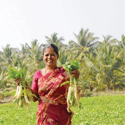 Vegetables through crop rotation... Rs. 5 lakhs profit from one acre!