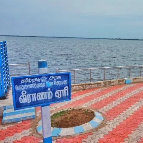 வறண்ட சென்னை ஏரிகளும் தப்பித்து நிரம்பிய வீராணம் ஏரியும்... முழு நிலவரம்!