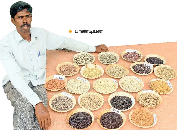 ஆடிப்பட்டம் தேடி விதை... வகை வகையாய் காய்கறிகள்...வளமான வருமானம்!