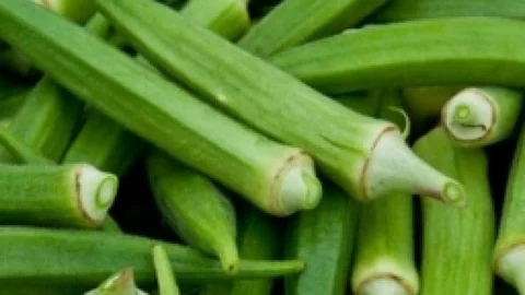Ladies Finger a medicinal vegetable Cures