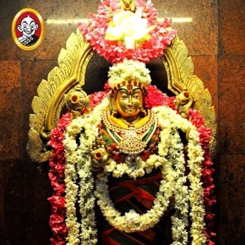 எந்த அம்மனை வணங்கினால் என்ன பிரச்னைகள் தீரும்? #PhotoStory