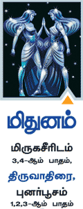 மிதுனம்