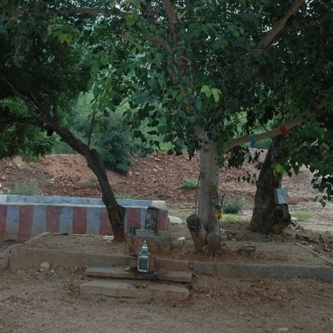 இயற்கை காதலர்களை ‘வருக வருக’வென அழைக்கும் ஈசன் மலை! காடு, மலை தாண்டி கடவுளைத் தேடி..! பரவசப் பயணம் - 7