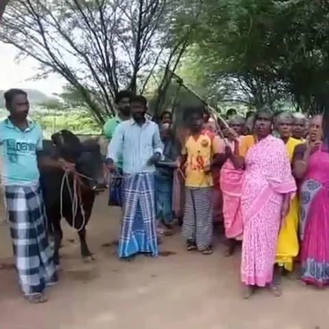 `ஆயிரத்தெட்டு குறை சொல்றாங்க அதிகாரிகள்! - ஜல்லிக்கட்டுக்காகப் போராடும் கிராம மக்கள்