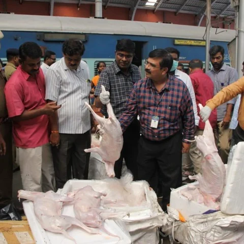 ` அது நாய்க்கறி அல்ல; ராஜஸ்தான் வெள்ளாடு!’ - வதந்தி பரப்பியதா ரயில்வே?