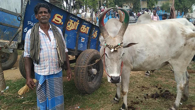 `வாழ்வாதாரத்துக்கு வழிசொல்லுங்க சார்!’ - 300க்கும் மேற்பட்ட மாட்டுவண்டித் தொழிலாளர்கள் போராட்டம்