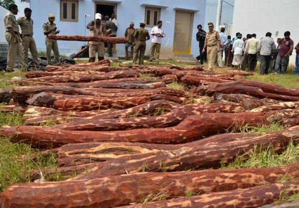 செம்மரக் கடத்தல் துப்பாக்கிச் சூடு விவகாரத்தில் அரசு விசாரணை கூடாது : ஐஜி., காந்தாராவ்