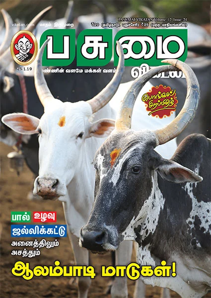 பொங்கல் சிறப்பிதழ்: 5 நிமிட வாசிப்பில் பசுமை விகடனின் 10 கட்டுரைகள்!