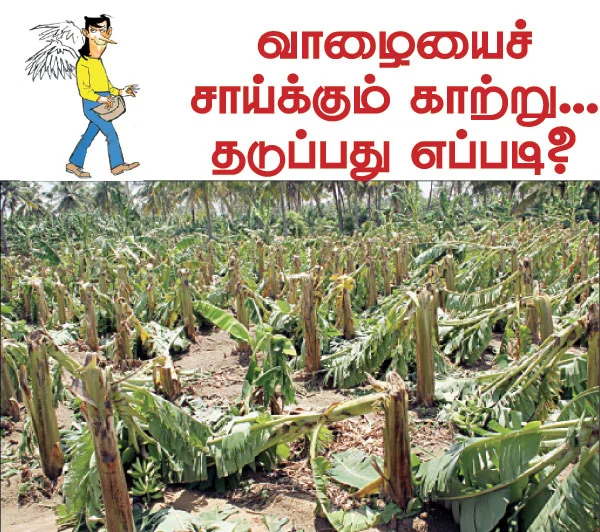 நீங்கள் கேட்டவை