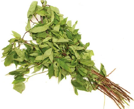 சரும நோய்களைப் போக்கும் புளிச்சகீரை