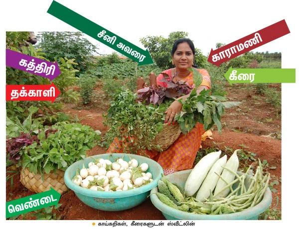 கலப்புப் பயிரில் கலக்கும் பெண் விவசாயி!