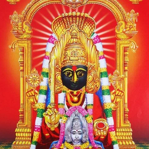 அன்னை ஸ்ரீவாசவி கன்னிகாபரமேஸ்வரி அக்னிப் பிரவேசம்செய்த நாள் இன்று