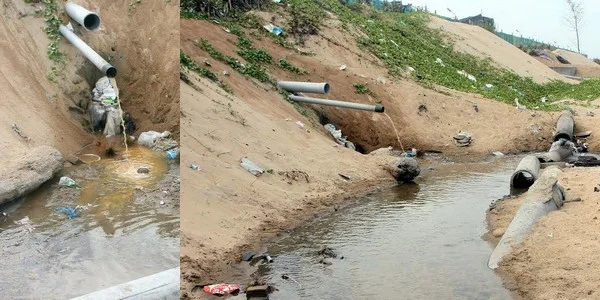 இறால் பண்ணையும்... இயற்கை சீரழிவும்!