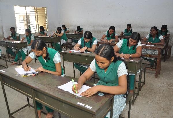12-ம் வகுப்புத் தேர்வு முடிவுகள் வெளியீடு - முதலிடம் பிடித்த திருப்பூர் மாவட்டம்!