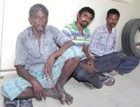 அரிய வகை கடல் உயிரினங்களை கடத்திய 3 பேர் கைது