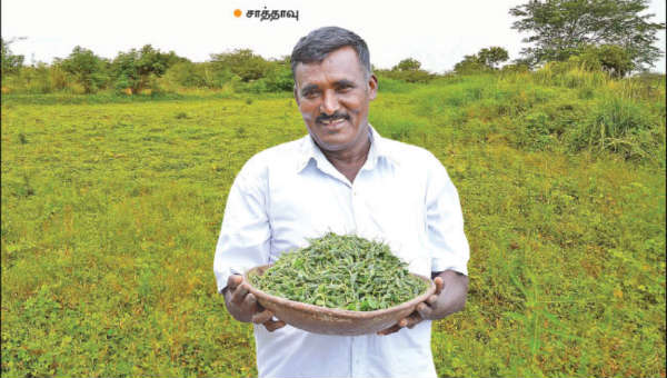 மானாவாரியில் மகத்தான லாபம் பார்க்கலாம் வாங்க…!