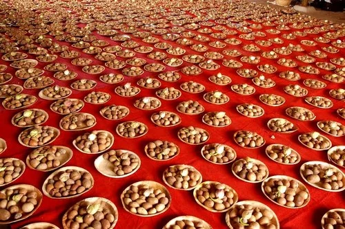 11000 வில்வ பழங்கள், 11000 தாமரைகள் கொண்டு மகா யாகம்!
