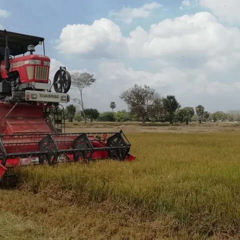 நெல் அறுவடை பணிகள் தீவிரம் - சிவகங்கை விவசாயிகள் மகிழ்ச்சி!