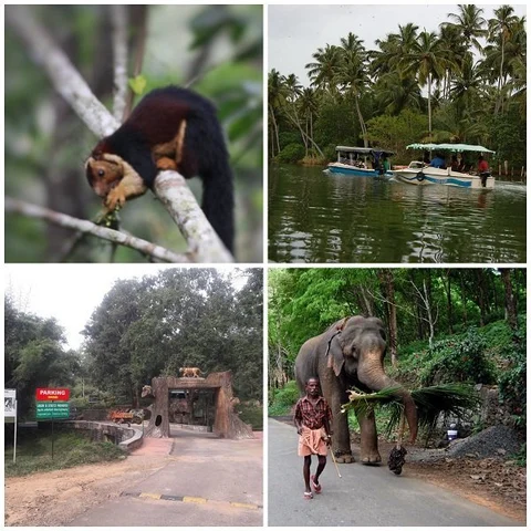 `நிபா’ வைரஸ்... கேரளாவுக்கு இப்போ டூர் போவது சரியா?#Nipah