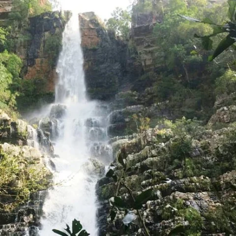 திருப்பதிக்கு அருகே ஒரு டூர் ஸ்பாட்... கேமராவை `தலகோனா’ பக்கம் திருப்புங்கள்!