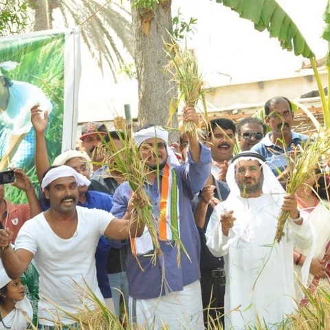 5 முறை லிம்கா... ஒரு கின்னஸ்... அரபு விவசாயியின் அசத்தல் ரெக்கார்டு!