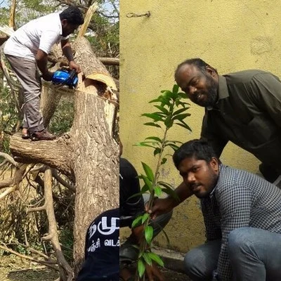 மரம் செய விரும்பு! - ‘வர்தா’வை சீரமைக்கும் முயற்சி