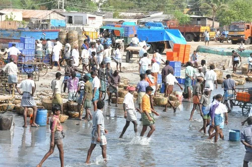ராமேஸ்வரம் மீனவர்கள் மீது இலங்கை கடற்படை மீண்டும் தாக்குதல் (படங்கள்)