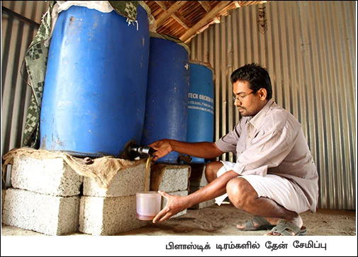 மாதம்தோறும் 1,00,000 தெம்பான வருமானம் தரும் இத்தாலியத் தேனீ !