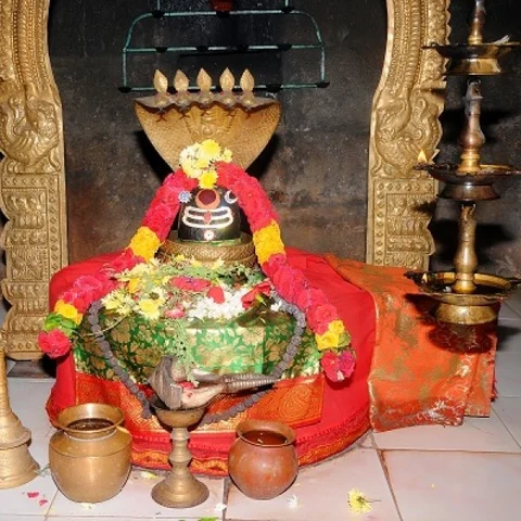 சப்த ரிஷிகள் பாலாற்றங்கரையில் பிரதிஷ்டை செய்து வழிபட்ட ஷடாரண்ய க்ஷேத்திரங்கள்!