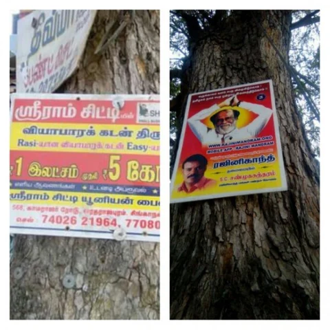 மரங்களையும் விட்டுவைக்காத விளம்பர மோகம்...! கடிவாளம் போடுமா அரசு?