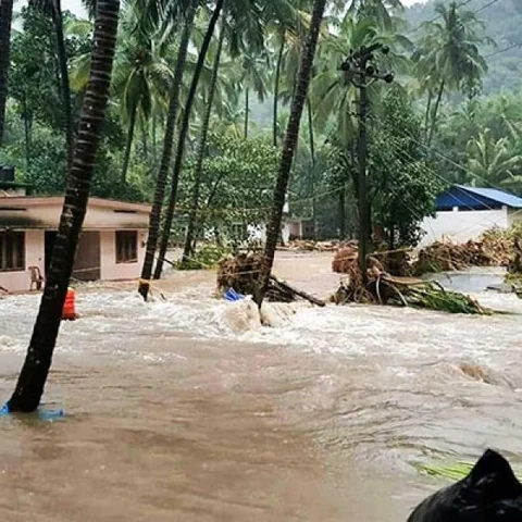 நிலத்திற்கு மேலே வந்து இறக்கும் மண்புழுக்கள் - வெள்ளத்தைத் தொடர்ந்து வறட்சியைச் சந்திக்குமா கேரளா?