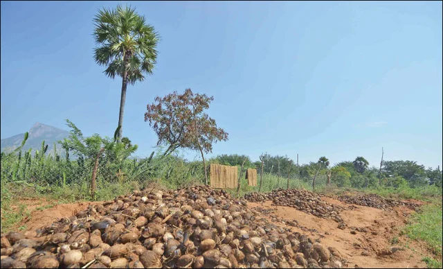மகசூலும் லாபமும்: பசுமை விகடன் 13-ம் ஆண்டு சிறப்பிதழின் பலன்மிகு 13 அம்சங்கள்!