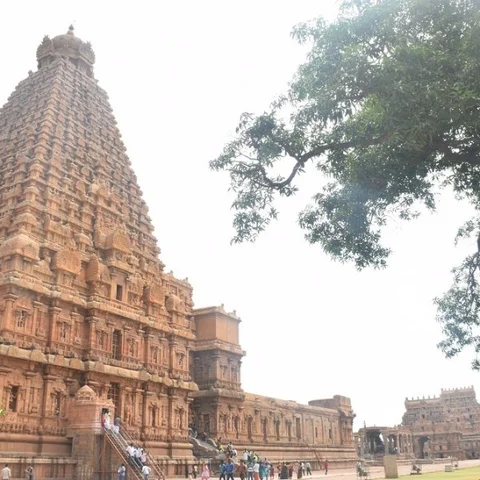 சிதையும் சிலைகள்... சேதமடையும் கல்வெட்டுகள்... தஞ்சை பெரியகோயிலின் கலவர நிலவரம்!