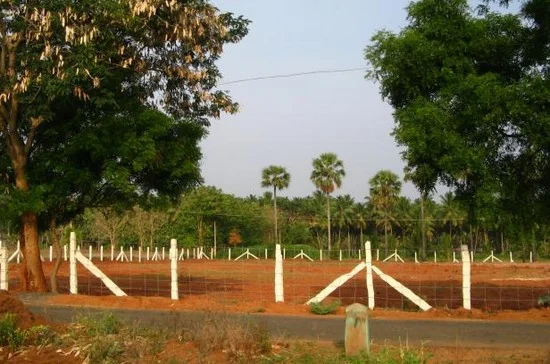 காணாமல் போகும் விளைநிலங்கள்: உணவுக்கு கை ஏந்துமா தமிழகம்...!