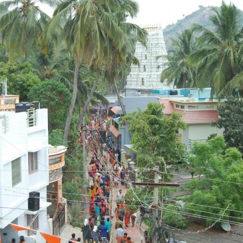 மாலையில் தொடங்கிய சிவாலய ஓட்டம் நள்ளிரவில் முடிகிறது! - லட்சக்கணக்கான பக்தர்கள் பங்கேற்பு