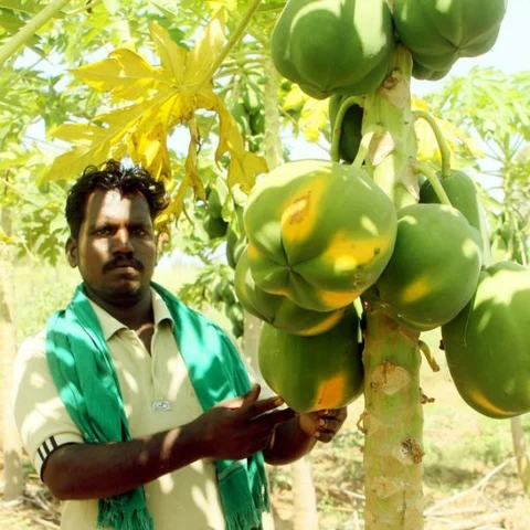 நம்மாழ்வாரின் பாரம்பர்யம் விதைக்கும் விவசாய தமிழன்! #Salute #PrideFarmer