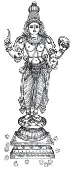 உள்ளங்கையில் சில உண்மைகள்