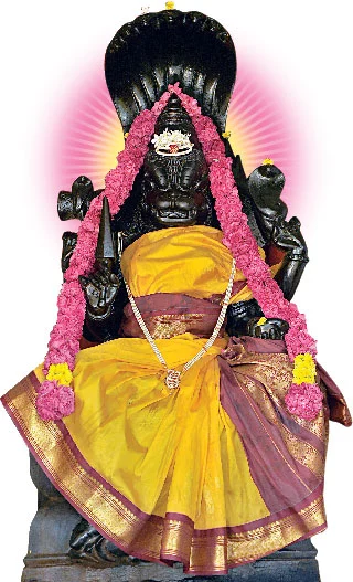 வெண் பூசணி வழிபாடு!