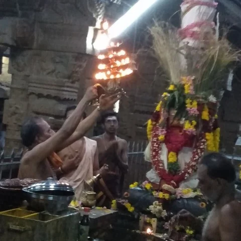 கழுகாசலமூர்த்தி திருக்கோயிலில் பங்குனித் திருவிழா கொடியேற்றத்துடன் தொடக்கம்!