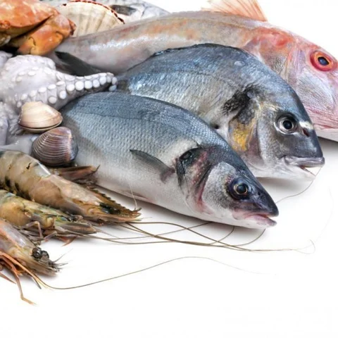 Fish, Turmeric and Vallarai(Centella asiatica) – Memory enhancers for students!