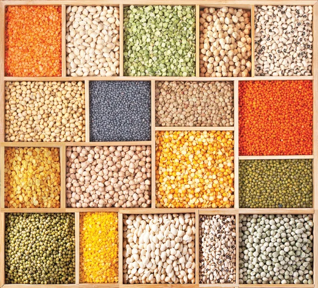 மகசூலும் லாபமும்: பசுமை விகடன் 13-ம் ஆண்டு சிறப்பிதழின் பலன்மிகு 13 அம்சங்கள்!